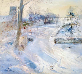 Zwischen den Schatten